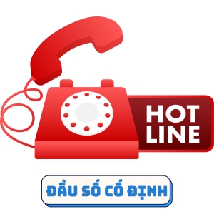 đầu số cố định