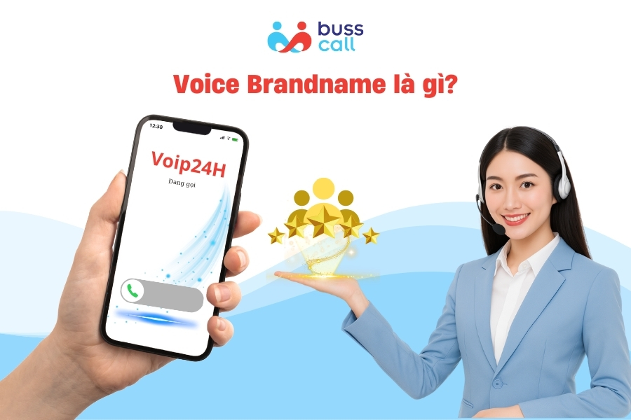 Voice Brandname là gì