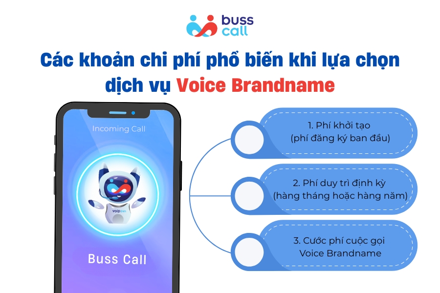 Các khoản chi phí phổ biến khi lựa chọn dịch vụ Voice Brandname