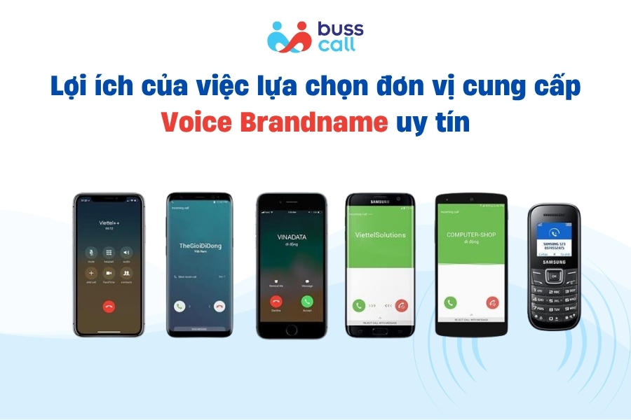Lợi ích của việc lựa chọn đơn vị cung cấp Voice Brandname uy tín